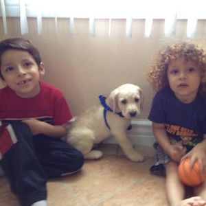 Meet your Posher, Ben